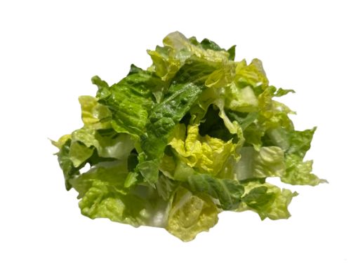 Romeinse sla gesneden (ROMAN LETTUCE PRE-CUT) per kg