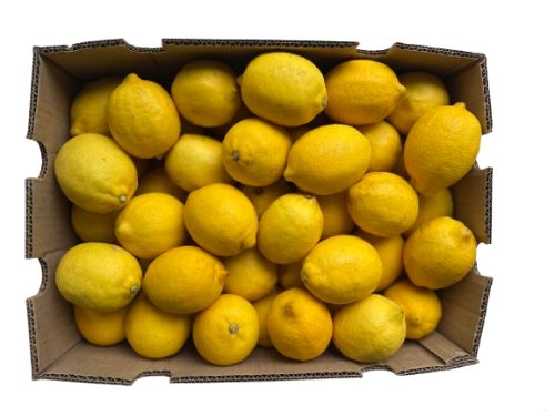 Citroen (Lemon BOX) kist per 15 kg