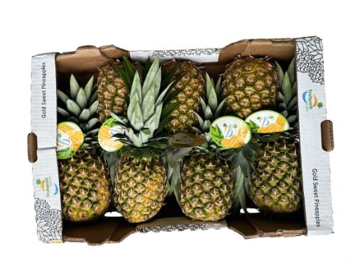 Ananas (doos) 5 tot 8 st