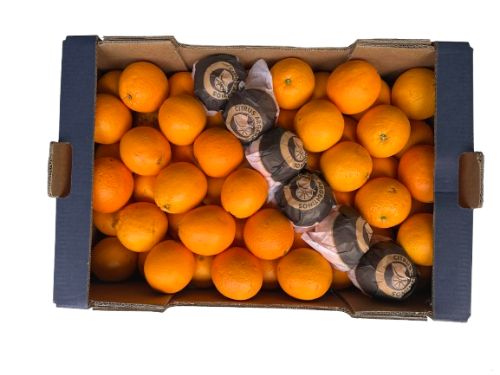 Hand Sinaasappels 15 kg