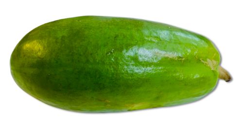 Papaya groen