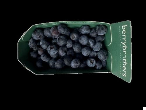 Blauwe bessen (blueberries) 125 gr