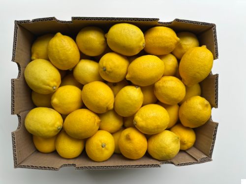 Citroenen (LEMON) per kg