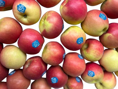 Appel Fuji per kg