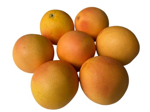 Grapefruit per stuks