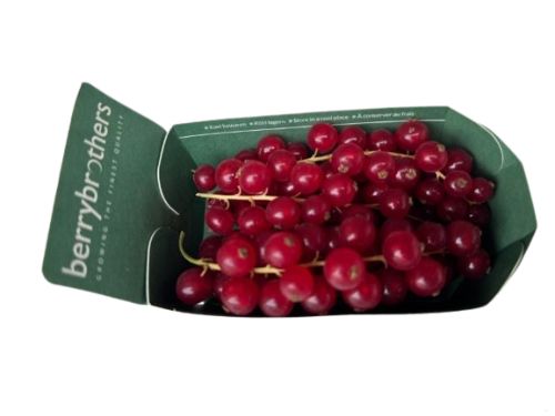 Aalbessen( rode bessen) Red Berry 125 gr
