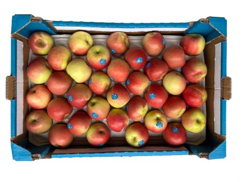 Appel Fuji 13 kg