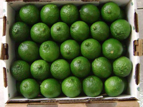 Limoen (limes box) 4.5 kg