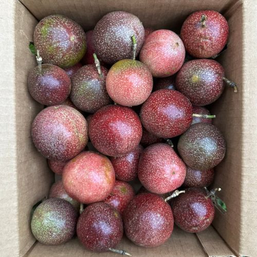 Passievruchten (Passionfruit) 2 kg