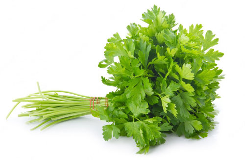 Peterselie bosje (FLAT LEAVE PARSLEY BUNCH)