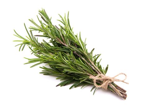 Rozemarijn (Rosemary 80-100 gram) verpakt
