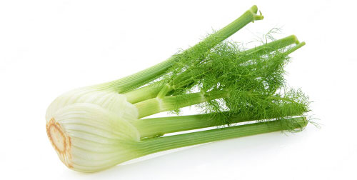 Venkel per kg