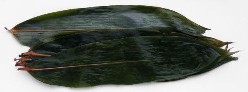 Bamboe blad 500 gram
