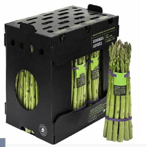 Asperge groen (Asparagus box) 11x450 gram doos XL