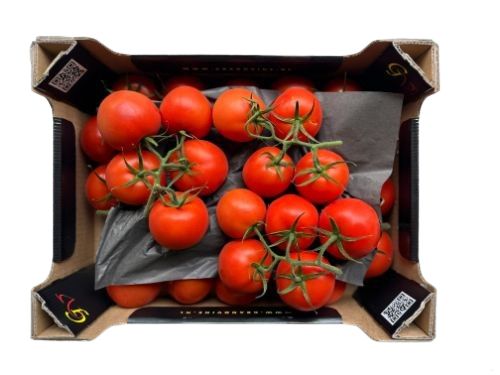 Tomaten 'Tros' 5 kg