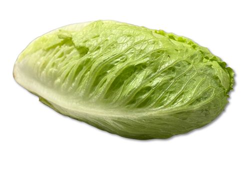 Romijnse sla