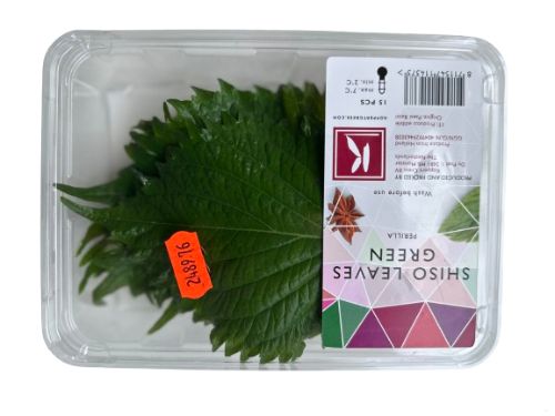 Shiso leaves groen (small box)