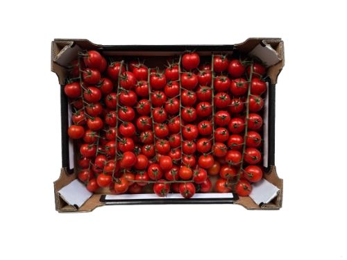 Tomaten 'Cherry' kg