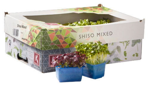 Shiso mix doos