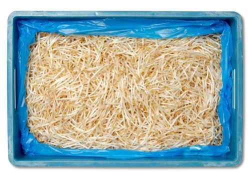 Taugé (kist) 10 kg
