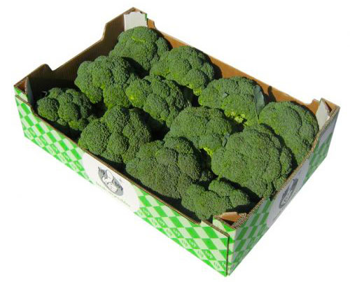 Broccoli 6 kg