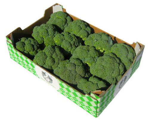 Broccoli (doos) 5 kg