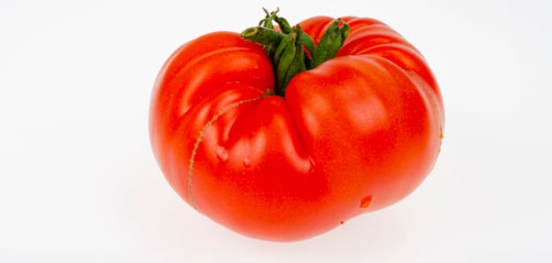 Tomaten Coeur de Boeuf per doos