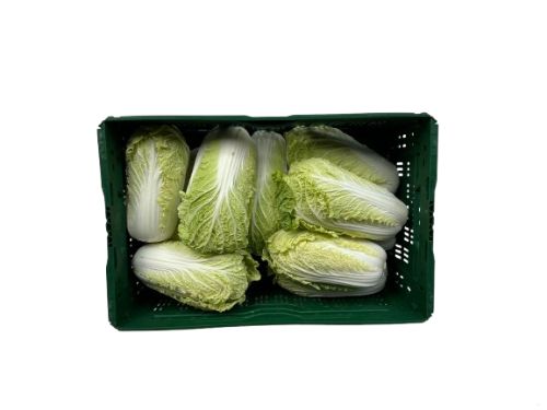 Chinese kool kist ca. 10 kg