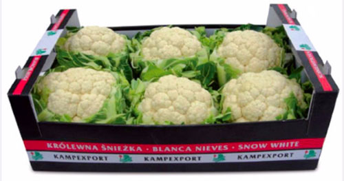 Bloemkool (CAULIFLOWER) krat ca. 6 stuks