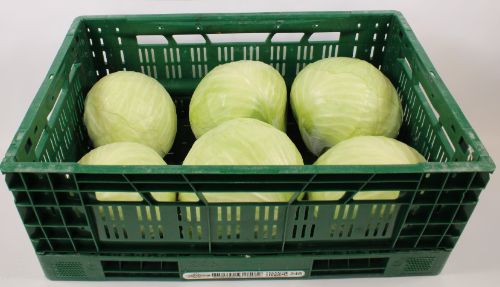 Witte Kool 15 kg