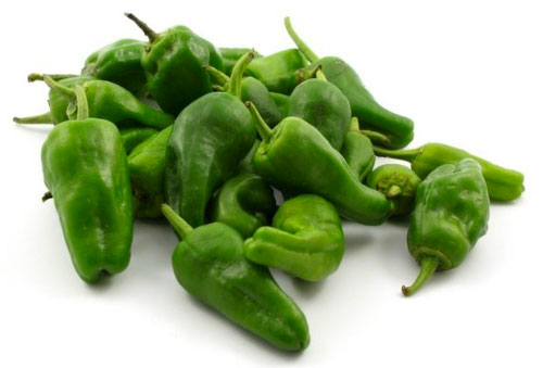 Padron pepers per kg