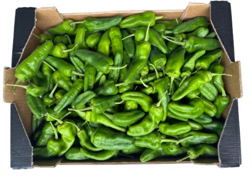 Padron pepers per doos 2 kg