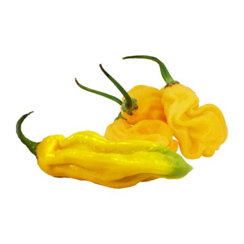 Surinaamse pepers (HABANERO) Geel per kg