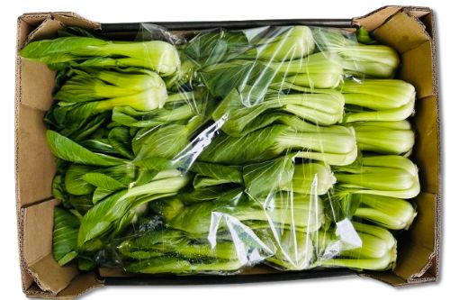 Shanghai Paksoi (doos) 8 kg