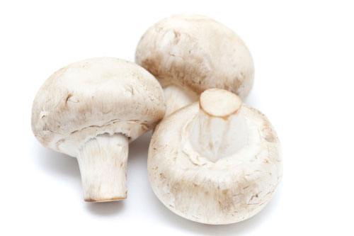 Champignon Wit Middel (White Mushroom) 3 kg