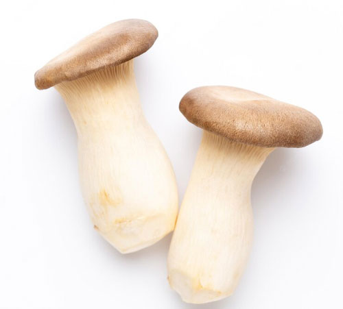 King Oyster (Eryngii) KR 2 kg 'TC G31219'