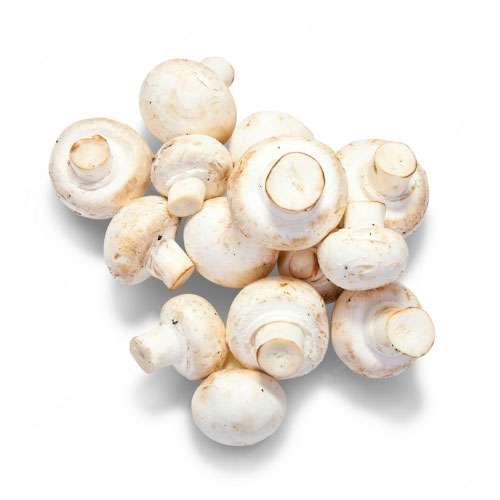 Industrie Champignons kg 'TC 10817'