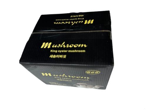 King Oyster (ERYNGII MUSHROOMS) 4 kg
