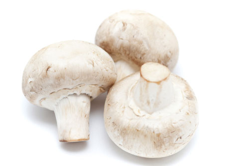 Champignons wit 3 kg 'TC V81020'