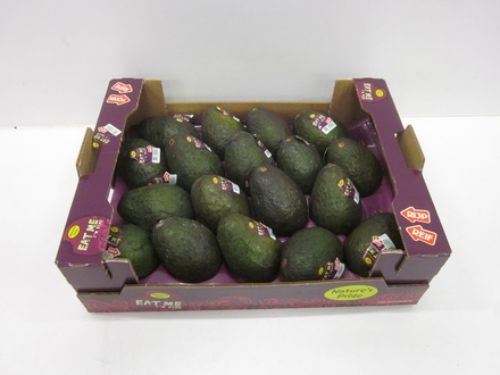 Avocado doos 16-18 pieces (Box)