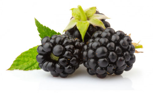 Bramen (blackberries) 125 gram