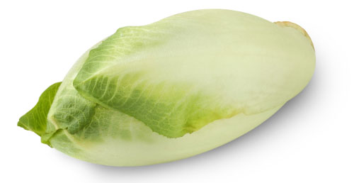 Witlof per kg