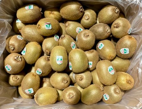 Kiwi groen per kg