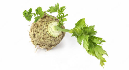 Knolselderij (CELERIAC) per stuk