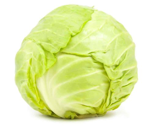 Witte kool kg