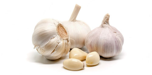 Knoflook Vers 500 gram