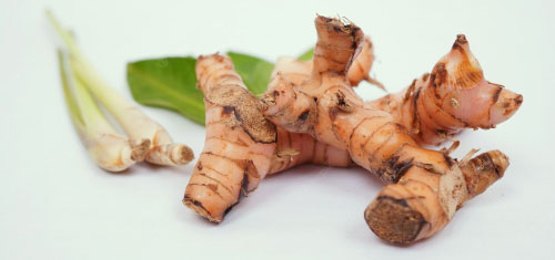 Laos (FRESH GALANGAL) per kg