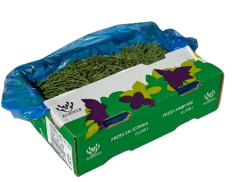 Zeekraal kg