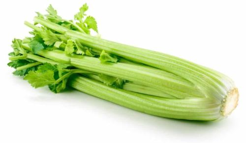 Bleekselderij (CELERY) per stuk