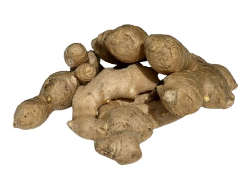 Gember (ginger) per kg